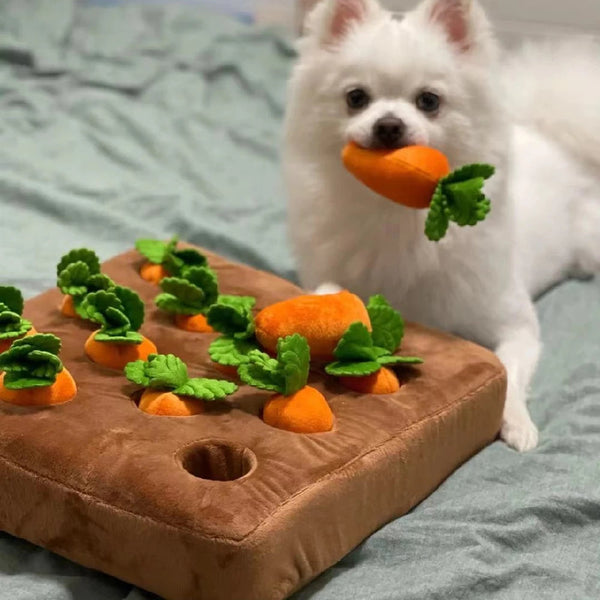 Carrot Patch Dog Toy-Paws Galore