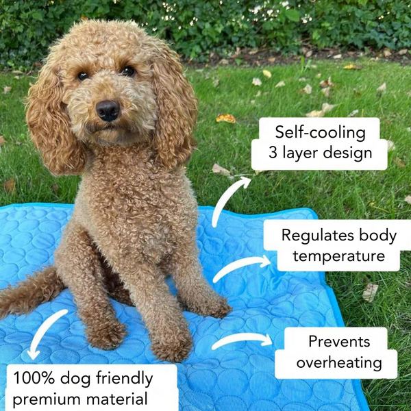 ChillPaws™ Cooling Mat