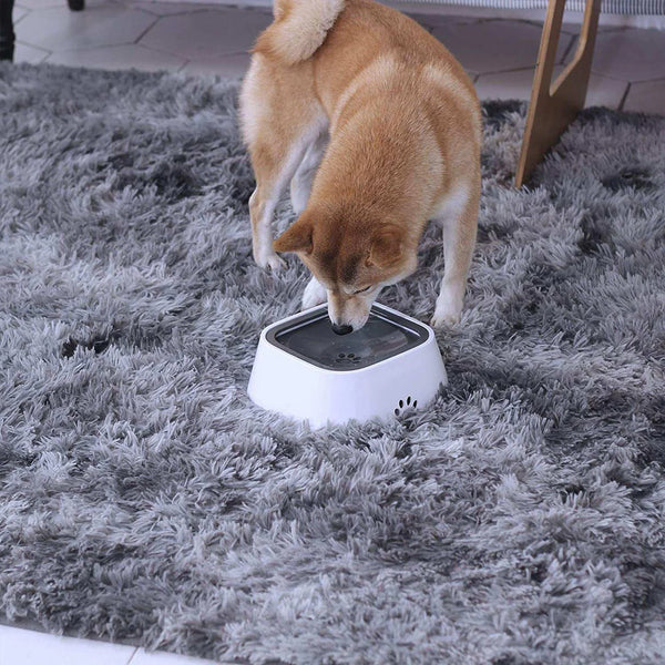 No Spill Water Bowl