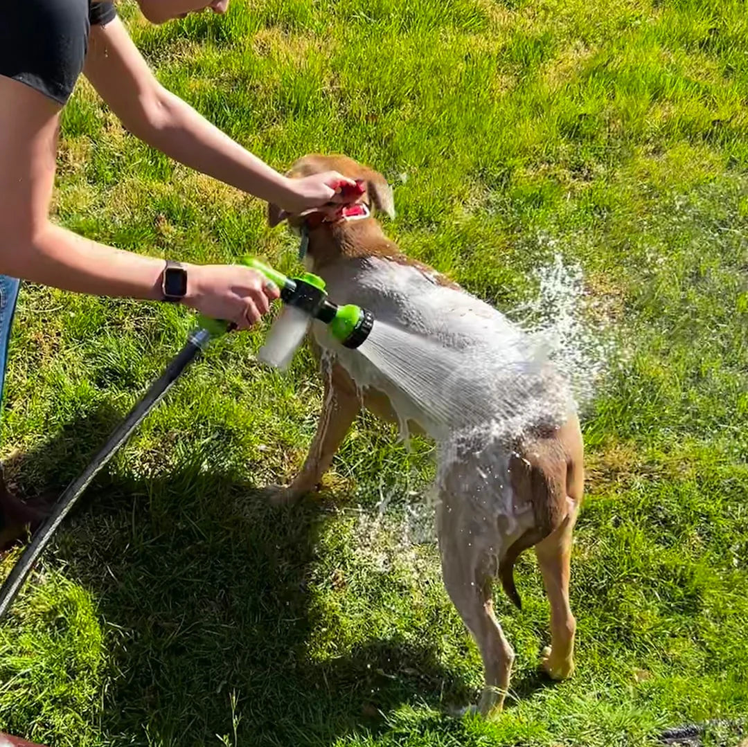 Pawsome Pup Spa-Paws Galore