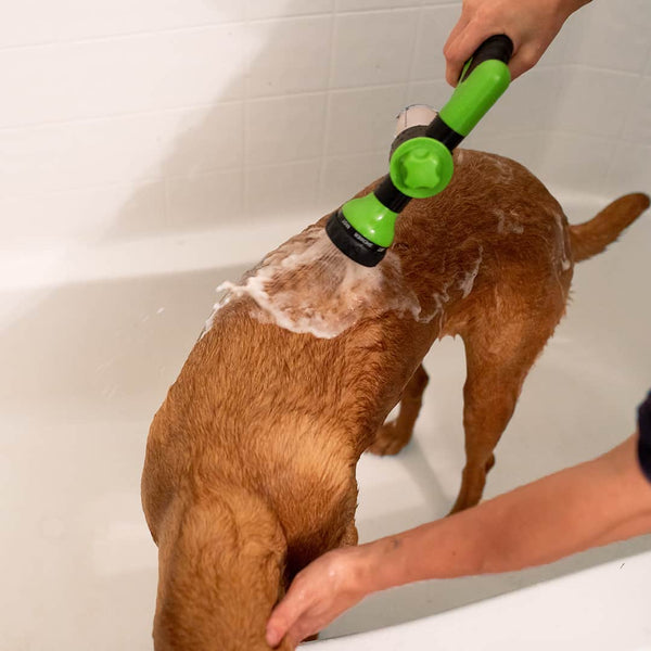 Pawsome Pup Spa-Paws Galore
