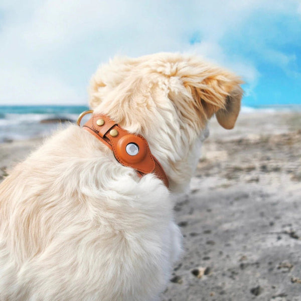 Apple AirTag Leather Dog Collar