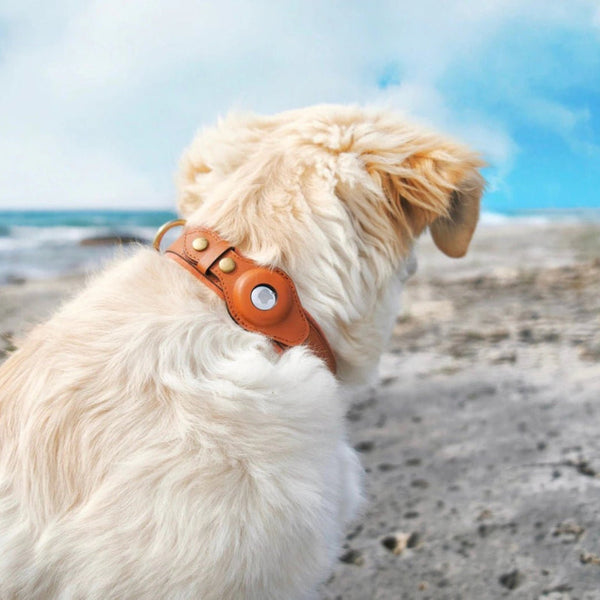 Apple AirTag Leather Dog Collar-Paws Galore