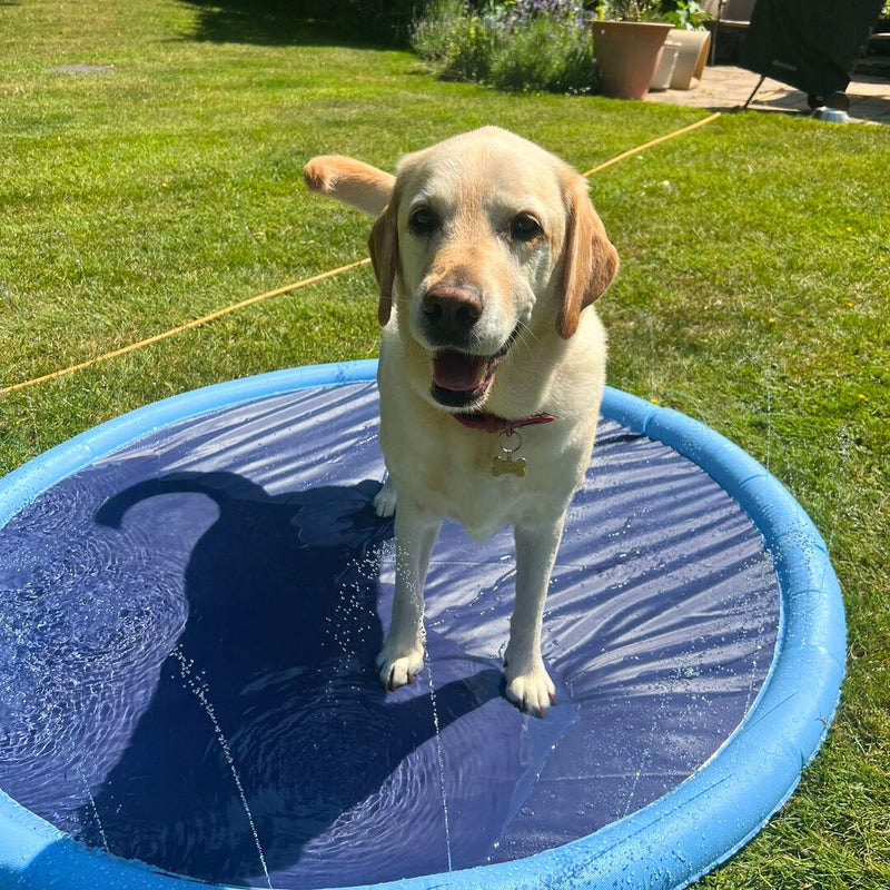 PawCool™ Dog Sprinkler Pad-Paws Galore