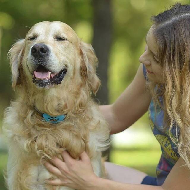 Anti Bark Collar- Paws Galore