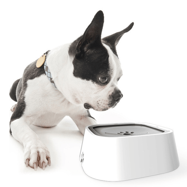 No Spill Water Bowl-Paws Galore