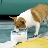 Floating Automatic Water Bowl