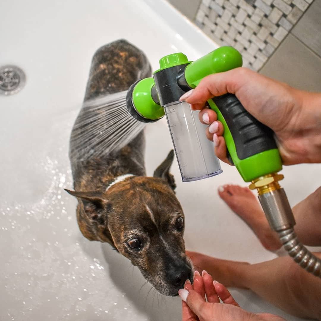 Pawsome Pup Spa-Paws Galore