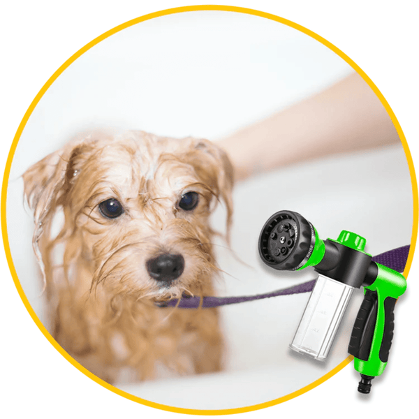 Pawsome Pup Spa-Paws Galore
