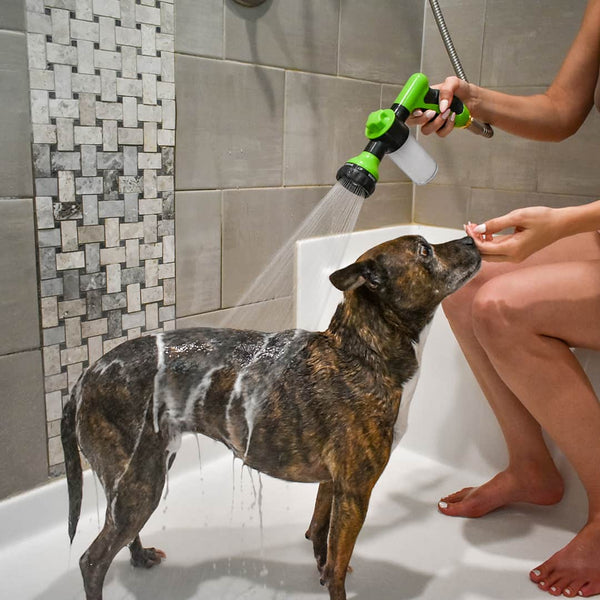 Pawsome Pup Spa-Paws Galore