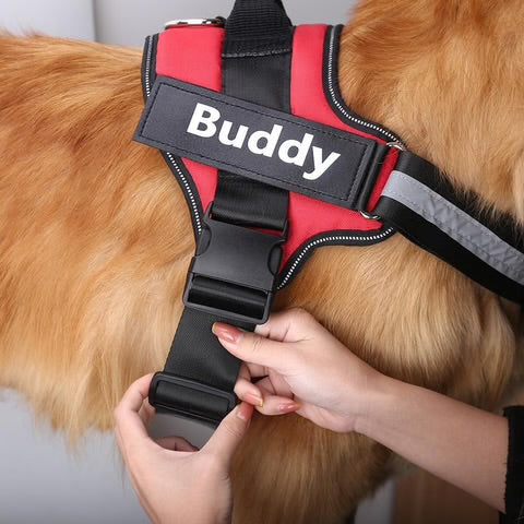 PupPerfect™ Personalised Harness-Paws Galore