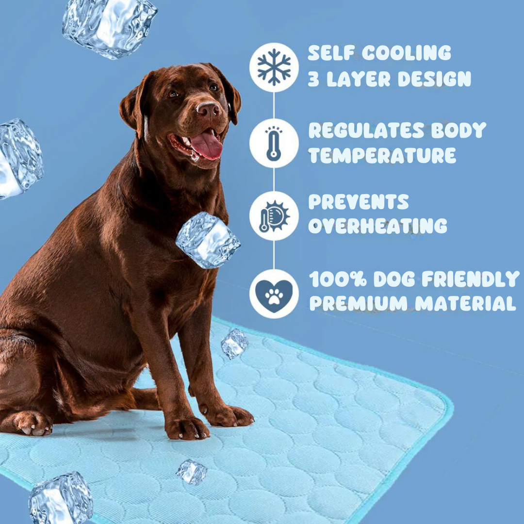 ChillPaws™ Cooling Mat