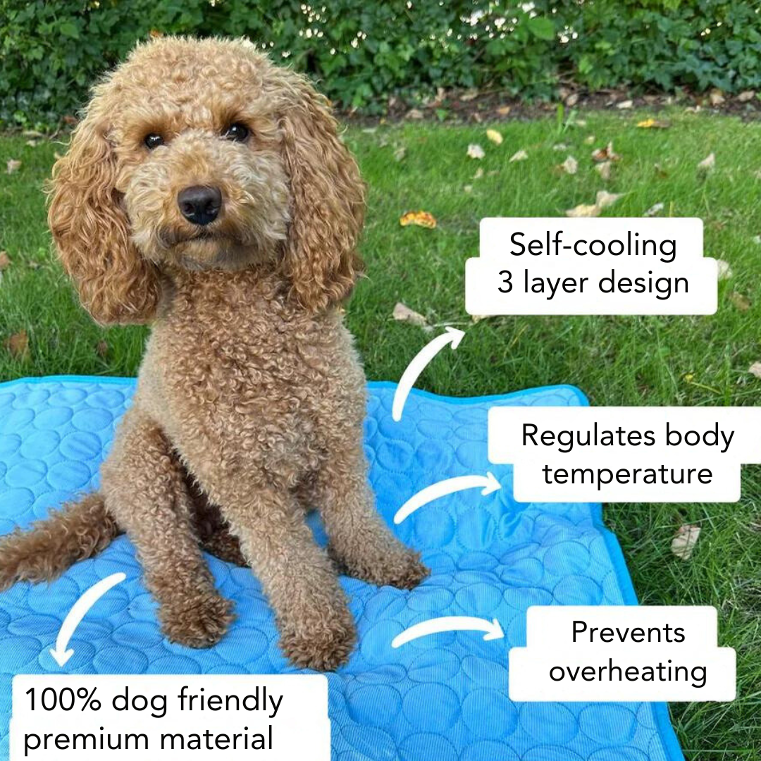 ChillPaws™ Cooling Mat