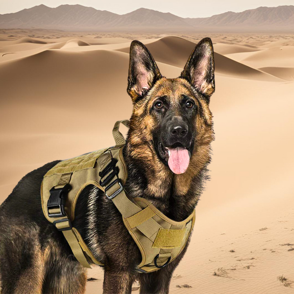 Tactical Dog Harness-Paws Galore