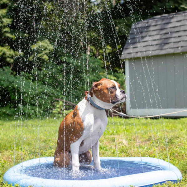 PawCool™ Dog Sprinkler Pad-Paws Galore