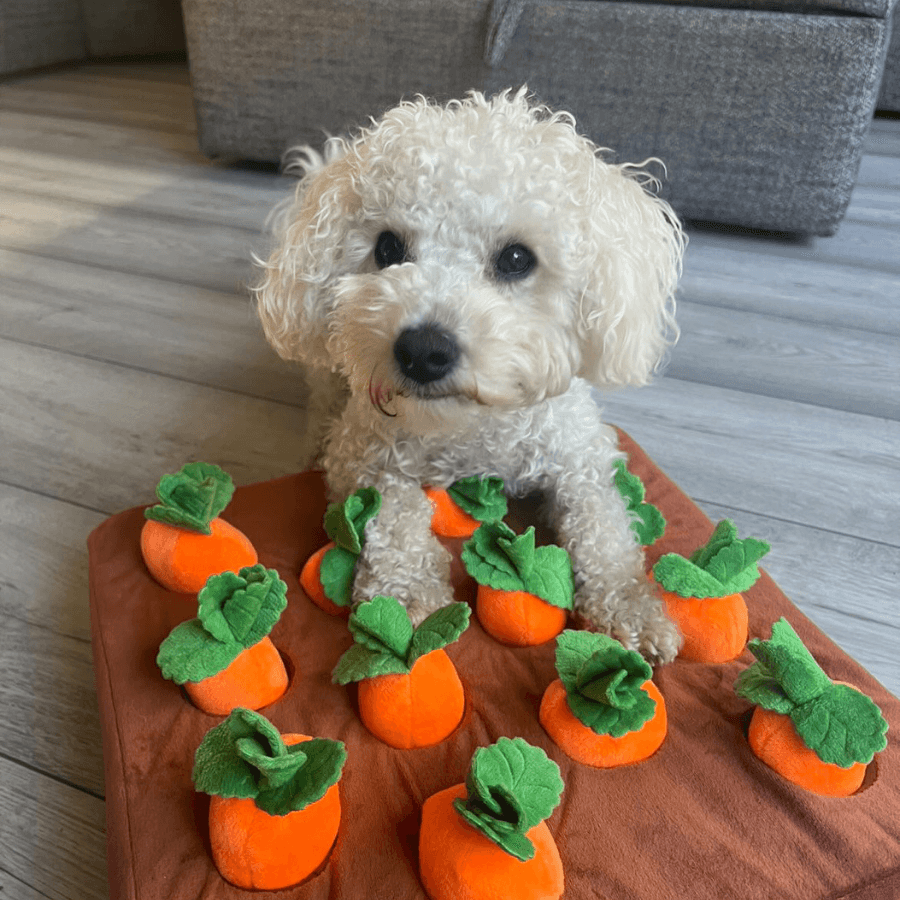 Carrot Patch Dog Toy-Paws Galore