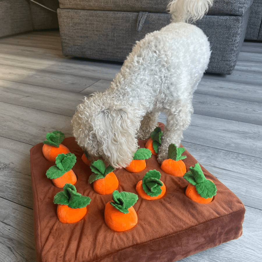 Carrot Patch Dog Toy-Paws Galore