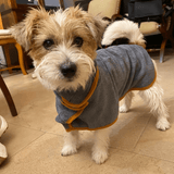 The Woof Wrap™-Paws Galore