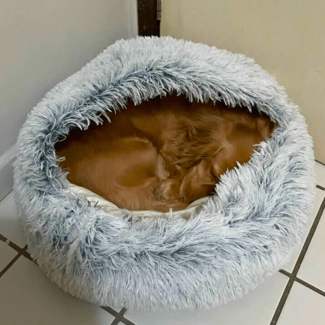 The Snuggle Den™-Paws Galore