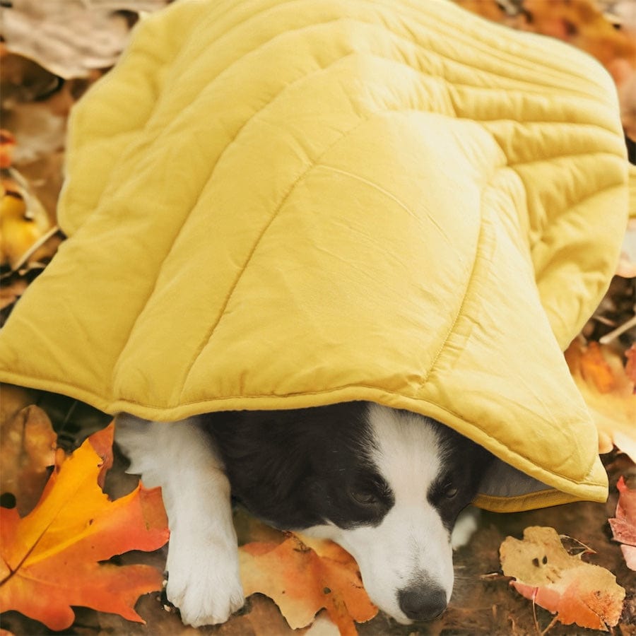 PupChill™ Leafy Breeze Blanket-Paws Galore