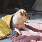 PupChill™ Leafy Breeze Blanket-Paws Galore