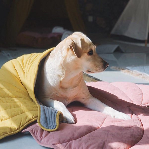 PupChill™ Leafy Breeze Blanket-Paws Galore