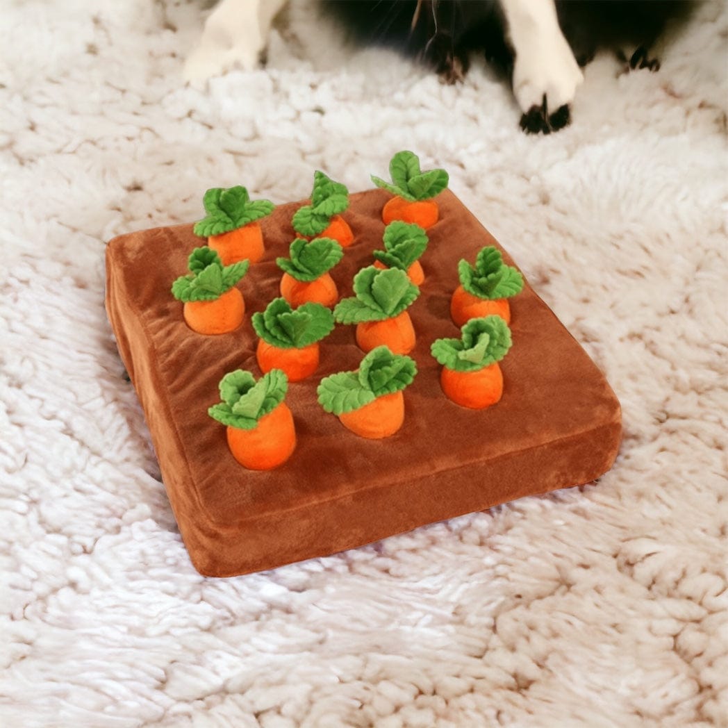 Carrot Patch Dog Toy-Paws Galore