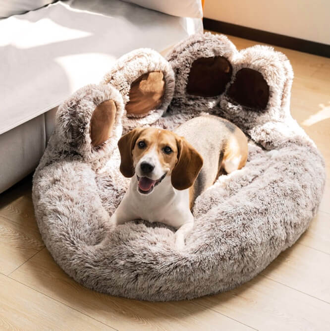 Cute Bear Paw Dog Sofa Cosy Pet Bed for Small Medium Large Pets Paws Galore